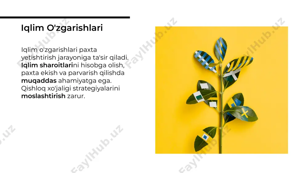 paxta yetishtirish va agrotexnikasi - Page 5