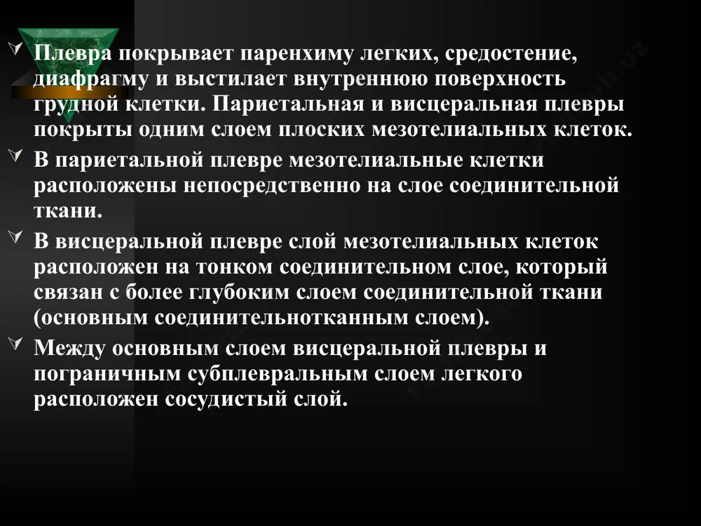 панкреатит (ферменты поджелудочной железы проникают в плевральную полость и развивается «ферментативный» плеврит); инфаркт миокарда (постинфарктный синдром дресслера); геморрагические диатезы; хроническая почечная недостаточность («уремический плеврит») периодическая болезнь. среди всех перечисленных причин плевритов наиболее частыми являются: пневмонии, туберкулез, злокачественные опухоли, системные заболевания соединительной ткани. патогенез инфекционных плевритов проникновение возбудителя в плевральную полость происходит следующими путями: 1. непосредственный переход инфекции из инфекционных очагов, расположенных в легочной ткани (пневмония, абсцесс, нагноившиеся кисты, туберкулезное поражение легких и прикорневых лимфоузлов); 2. лимфогенное инфицирование полости плевры; 3. гематогенный путь проникновения инфекции; 4. прямое инфицирование плевры из внешней среды при ранениях грудной клетки и операциях; при этом происходит нарушение целостности плевральной полости. проникшие в полость плевры инфекционные агенты вызывают развитие воспалительного процесса в плевре. этому способствует нарушение функции местной бронхопульмональной защиты и системы иммунитета в целом. большое значение имеет предшествующая сенсибилизация организма инфекционным агентом (например, при туберкулезе). при этом поступление в полость плевры даже небольшого количества возбудителя вызывает …