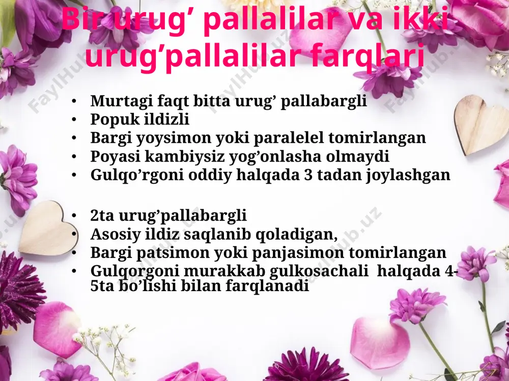 ar bu oilaning vegetativ tanasi bargsimon kichkina suv yuzasida qalqib suvga botib turadi . u gulli o’simliklar orasida eng maydasi bo’lib, yon navdalari yordamida vegetativ ko’payadi. changchi gulida 1ta changchi urug’;chisida 1ta urug’chi bo’ladi. bo’yi 2-4 mm, 1turkumga oid 3turi bor.guli mayda 1jinsli bo’ladi kuchaladoshlar bu oila ildizpoyali tugunakli bargi yirik ot buta yoki epifit ilashib o’suvchi o’simliklardir. barglari ildiz bo’gzidan chiqadi,bandi taenovsimon,bargi butun gullari 2jinslim so’tasimon to’pgulda joylashgan guli xilma xil tuzilgan gulqorg’on barglari 6ta mevasi etli yoki quruq meva bo’ladi.bularga kuchala (arum)kiradi. u dorivor, tugunagi zaharli bo’ladi. e’tiboringiz uchun rahmat! image1.jpg image2.jfif image3.jfif image4.jpg image5.jpg image6.jfif image7.jfif image8.jfif image9.jfif image10.jfif image11.jfif image12.png image13.jpg image14.png image15.jpg image16.png image17.jpg image18.jfif image19.jfif image20.png image21.jfif image22.png image23.jfif image24.png image25.jpeg image26.png image27.jfif image28.png image29.jfif image30.png image31.jfif image32.png