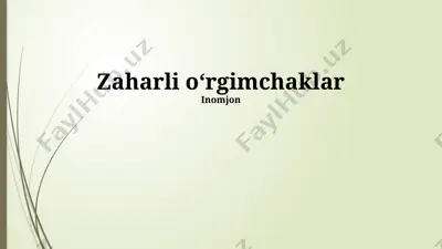 zaharli o‘rgimchaklar — PPTX