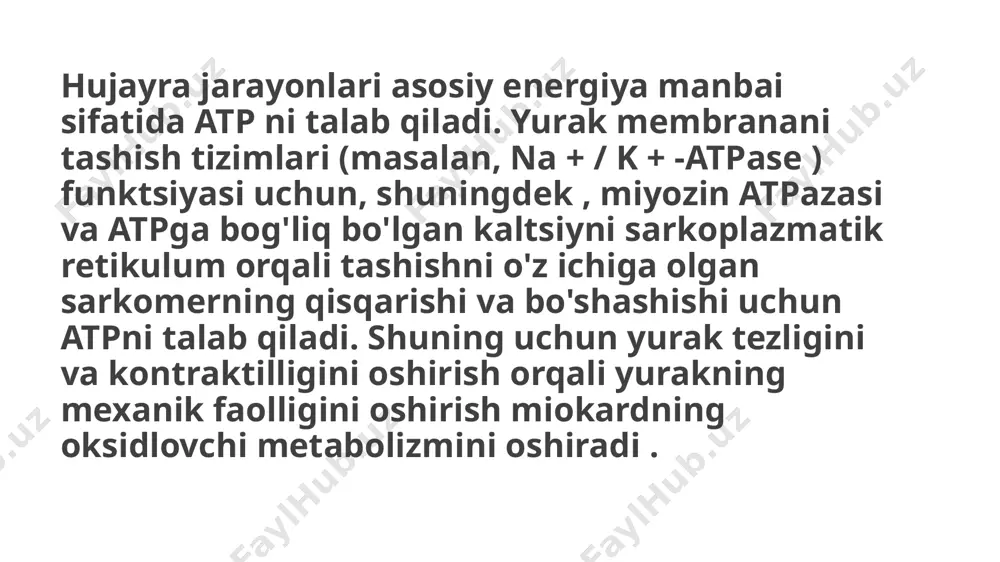 arni etkazib bera olmaydi. bunday sharoitda yurak glikogendan (uglevodning saqlash shakli) atp ning anaerob ishlab chiqarilishi va sut kislotasi hosil bo'lishi uchun substrat sifatida foydalanishi mumkin. biroq, yurakning bu yo'l orqali ishlab chiqarishi mumkin bo'lgan atp miqdori aerob metabolizm tomonidan ishlab chiqarilishi mumkin bo'lgan atp miqdoriga nisbatan kichikdir. bundan tashqari, yurakda glikogenning cheklangan ta'minoti mavjud bo'lib, u og'ir gipoksiya sharoitida tezda tugaydi. miyokard energiyaga eng ko'p qaram bo'lgan tuzilmalardan biridir. u kuniga taxminan 6 kilogramm atp talab qiladi . samarali energiya ta'minotini ta'minlash uchun u etarli darajada atp ishlab chiqaradigan ilg'or tizimga ega. organizmda bu talabni qo'llab-quvvatlashning ikki yo'li mavjud: ishlab chiqarish va to'plash. o'ziga xos anatomiya tufayli to'planish yurak uchun mos emas - sitoplazmalarning aksariyati miofibrillardan iborat. bu haqiqatga ko'ra, kattalar qalbida biz atp va ko'plab atp-gidrolazalarning past konsentratsiyasini kuzatamiz. barcha atp hajmining umumiy resintezi oddiy miyokardda atigi 10 soniya davom etadi . energiya resurslarining katta qismi (~ 70%) …