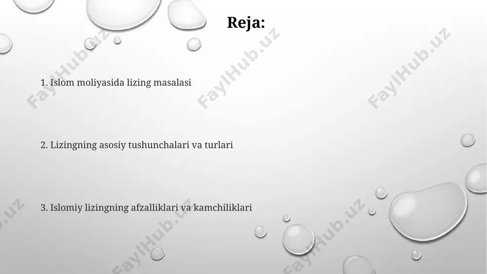 islom moliyasida ijara masalasi - Page 2