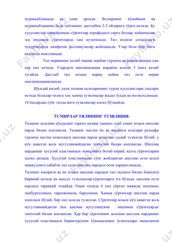 агача бўлиб, эпителийга ботиб киради. ипсимон сўрғичлар: энг кўп бўлиб, тилнинг олдинги устки юзасини текис қоплайди, тил бурчакларида эса тўппламлар ҳосил қилади. узунлиги 0,3 мм атрофида замбуруғсимон сўрғичлар тилнинг opқa томонида ипсимон сўрғичлар орасида жойлашади. улар тилнинг учида ва ён соҳаларида кўпрок учрайди. ипсимон сўрғичларга нисбатан улар йирик бўлиб, узунлиги 0,7-1,8 мм ни , диаметри эса 0,4-1,0 мм ни ташкил этади. бу сўрғичларнинг асоси замбуруғсимон бўлиб, кенг устки юзага ва тор асосга эга. улар орасида конуссимон ва линзасимон шаклдагиларини ҳам учратиш мумкин. эпителий таркибида таъм билиш пиёзчалар жойлашади, уларнинг миқдори айниқса "юганча" сохасида жуда кўп бўлади. бу зона кесмаларида хар бир замбуруғсимон сўрғичларда 3-4 тадан таъм билиш пиёзчалари жойлашади. тарновсимон сўрғичлар тилнинг юқори орқа зонасида учрайди, миқдори 6 дан 12 тагача етиши мумкин ва оддий кўз билан хам яхши кўринади. уарнинг узунлиги 1-1,5 мм, диаметри эса 1-3мм бўлиши мумкин. ипсимон, замбуруғсимон сўрғичлардан фарқ қилиб, шиллиқ пардадан кўтарилиб турмайди, шиллиқ билан …