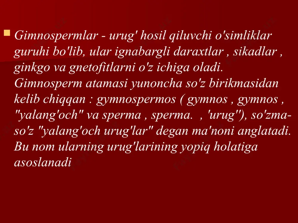 ochiq urug’lilar bo’limi 2 - Page 3