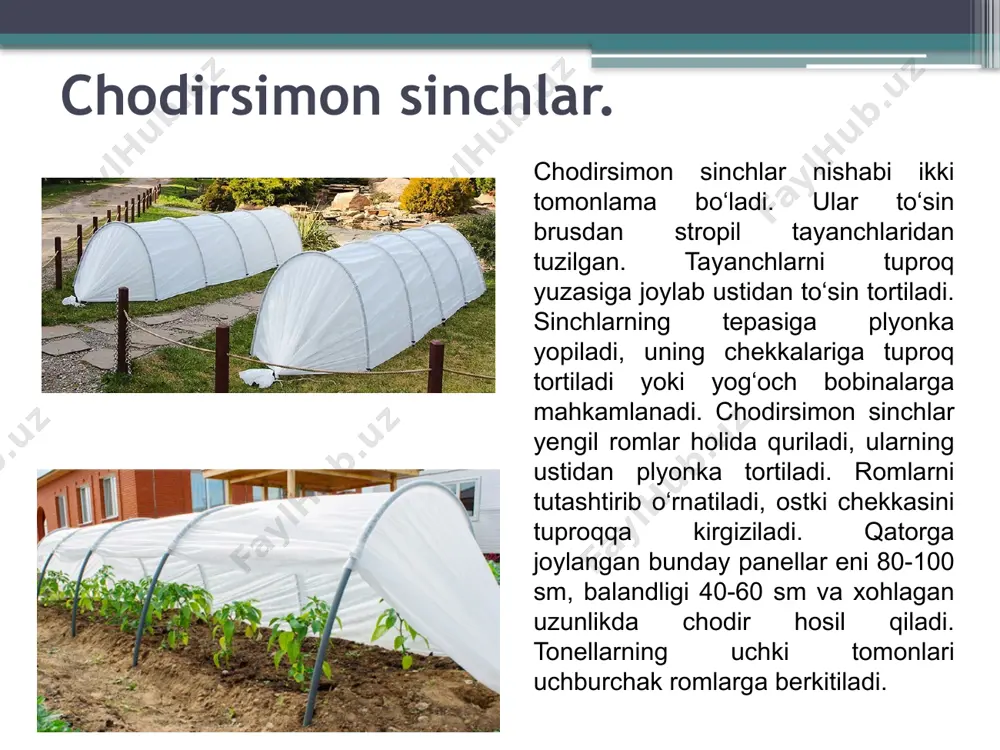 ishining ish maydonini kengaytirish va mehnat sifatini kamaytirish mumkin. bu uzun mevali duragaylar kichik mevali bodringdan bir qator afzalliklarga ega: ular yuqori hosilli, mevasi yuqori tovar sifatiga ega, uzoq vaqt sarg‘aymasdan turishi mumkin, chunki ularda urug‘i yo‘qligi uchun yetilish jarayoni davom etmaydi. qishki issiqxonada yetishtirish. o‘zbekistonda qishki issiqxonalarda bodring kuz-qish, qish-bahor va ekinlar navbatlashuvi oralig‘ida o‘tkinchi muddatda o‘stiriladi. kuzgi-qishki muddatda bodring urug‘ini issiqxona tuprog‘iga ekish orqali yetishtiriladi. urug‘ni ekishning eng qo‘lay muddati: qoraqalpog‘istonda-avgust boshida, toshkent va samarqand viloyatlarida-10-15 avgustda, farg‘ona vodiysida-15-20 avgustda, qashqadaryo viloyatida-avgust oxirida. bunda geterozisli duragaydan bir muddatda 7-10 kg/m2 va boshqa duragaylardan 6-7 kg/m2 hosil olinadi. birinchi terim ekilganning 50-60 - kuni o‘tkaziladi. oxirgi hosil yanvar boshida teriladi. o‘simlik parvarishida eski barglarini olib tashlab turish zarur tadbir hisoblanadi. eski barglar kasallik manbaidir. shuning uchun ularni o‘tkir pichoq yoki sekator bilan bandini qoldirmay kesib tashlanadi. qurigan va bujmaygan mo‘ylovlarini doimo olib turish zarur. issiqxonada o‘sayotgan bodringni changlatish uchun …
