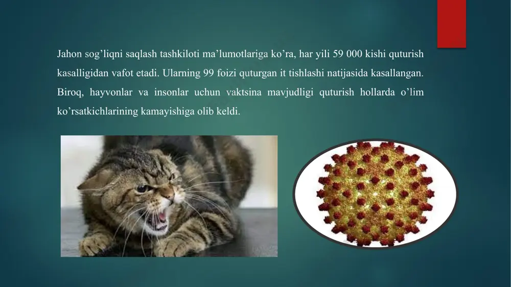 qutirish kasalligiga diagnoz qo’yish - Page 4