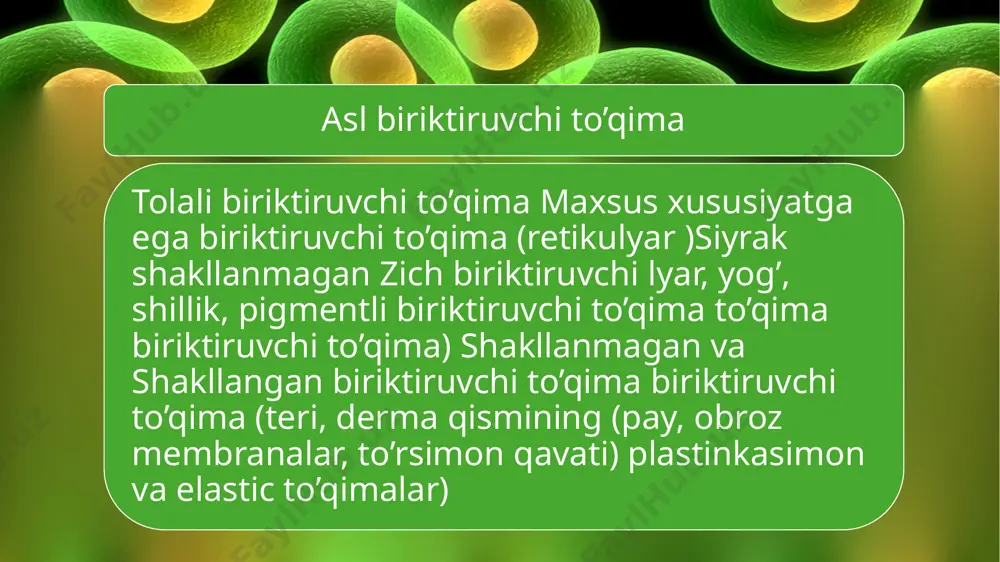 iladi (3-rasm). sitoplazma organellari va yadro chetga surilib, yog` hujayrasi sharsimon shaklni oladi. maxsus bo’yovchi moddalar (sudan iii va boshqalar) yog`ni bo’yasa, spirt uni eritadi. gematoksilin-eozin bilan bo’yalgan preparatlarda yog` hujayralari oqish bo’lib ko’rinadi. elektron mikroskopda endoplazmatik to’r va golji kompleksining juda sust rivojlanganligini ko’rish mumkin. yog` tarkibi turlicha bo’lib, iqlim sharoitiga va ovqatlanish turiga bog`liq . adipotsitlar (ba’zan lipotsitlar deb ham ataladi) ancha yuqori modda almashtirish qobiliyatiga ega 3-rasm. izoh: yog` hujayralari xulosa xulosa qilib aytganda, biriktiruvchi to’qima asl biriktiruvchi to’qimadan, tog`ay va suyak to’qimasidan iborat. biriktiruvchi to’qima eng keng tarqal-gan to’qima bo’lib, organizmda bu tuzilma bo’lmaydigan a’zo yo’q. biriktiruvchi to’qima trofik (hujayralarning oziqlanishi-ni boshqarib turadi va qon bilan hujayra orasida modda almashinuvini ta’minlaydi), himoya (biriktiruvchi to’qima ele-mentlari fagotsitoz qilish va antitelolar ishlab chiqarish orqali organizmni turli yot jinslardan saqlaydi), plastik, «o’rin bosish» (turli a’zolar jarohatlanganda, yallig`lanish jarayonida nobud bo’lgan to’qima o’rnida chandiq hosil bo’lish bilan ifodalanadi), mexanik yoki …