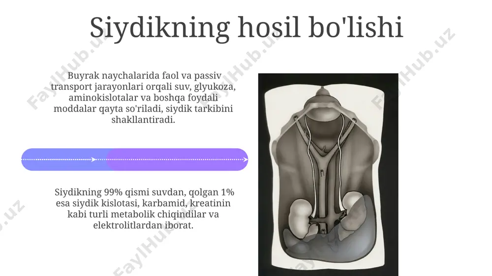 buyrak toshlarini davolash usullari orasida jarrohlik amaliyoti, litotripsiya (toshni maydalash) va dorivor davolash kabi turli xil usullar mavjud. e'tiboringiz uchun rahmat @taqdimot_robot image4.jpg image5.jpg image6.jpg image7.jpg image8.jpg image9.jpg image10.jpg image11.jpg image12.jpg image13.jpg image14.jpg image15.jpg image16.jpg image17.jpg image18.jpg image19.jpg image20.jpg image1.jpeg image2.jpeg image3.jpeg
