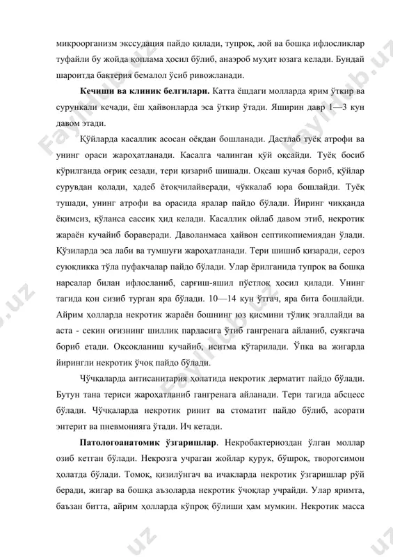 ди. қўйларда касаллик асосан оёқдан бошланади. дастлаб туёқ атрофи ва унинг ораси жароҳатланади. касалга чалинган қўй оқсайди. туёқ босиб кўрилганда оғриқ сезади, тери қизариб шишади. оқсаш кучая бориб, қўйлар сурувдан қолади, ҳадеб ётоқчилайверади, чўккалаб юра бошлайди. туёқ тушади, унинг атрофи ва орасида яралар пайдо бўлади. йиринг чиққанда ёқимсиз, қўланса сассиқ ҳид келади. касаллик ойлаб давом этиб, некротик жараён кучайиб бораверади. даволанмаса ҳайвон септикопиемиядан ўлади. қўзиларда эса лаби ва тумшуғи жароҳатланади. тери шишиб қизаради, сероз суюқликка тўла пуфакчалар пайдо бўлади. улар ёрилганида тупроқ ва бошқа нарсалар билан ифлосланиб, сарғиш-яшил пўстлоқ ҳосил қилади. унинг тагида қон сизиб турган яра бўлади. 10—14 кун ўтгач, яра бита бошлайди. айрим ҳолларда некротик жараён бошнинг юз қисмини тўлиқ эгаллайди ва аста - секин оғизнинг шиллиқ пардасига ўтиб гангренага айланиб, суякгача бориб етади. оқсоқланиш кучайиб, иситма кўтарилади. ўпка ва жигарда йирингли некротик ўчоқ пайдо бўлади. чўчқаларда антисанитария ҳолатида некротик дерматит пайдо бўлади. бутун тана териси жароҳатланиб гангренага …