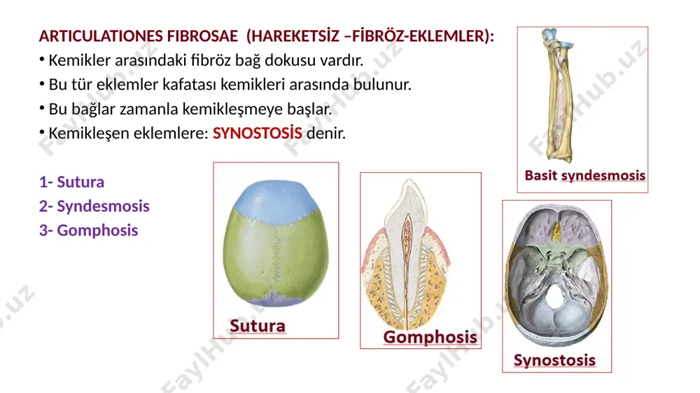 eklemler hakkinda genel bi̇lgi̇ - Page 5