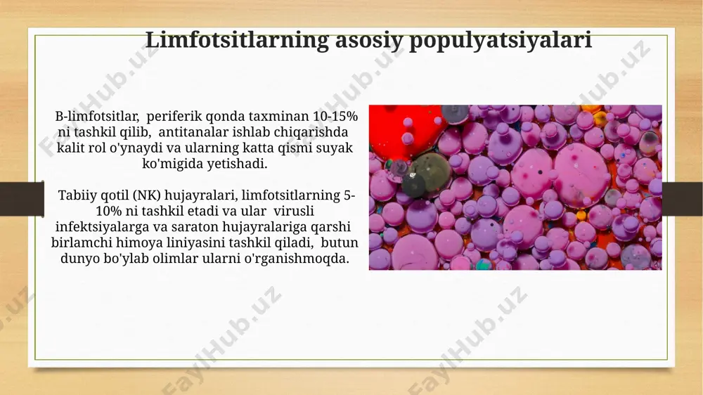 limfotsitlar: populyatsiyalar, subpopulyatsiyalar va limfa - Page 3