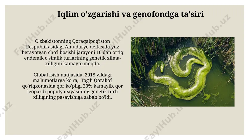 ekologiyaning millat genofondiga ta'siri - Page 4