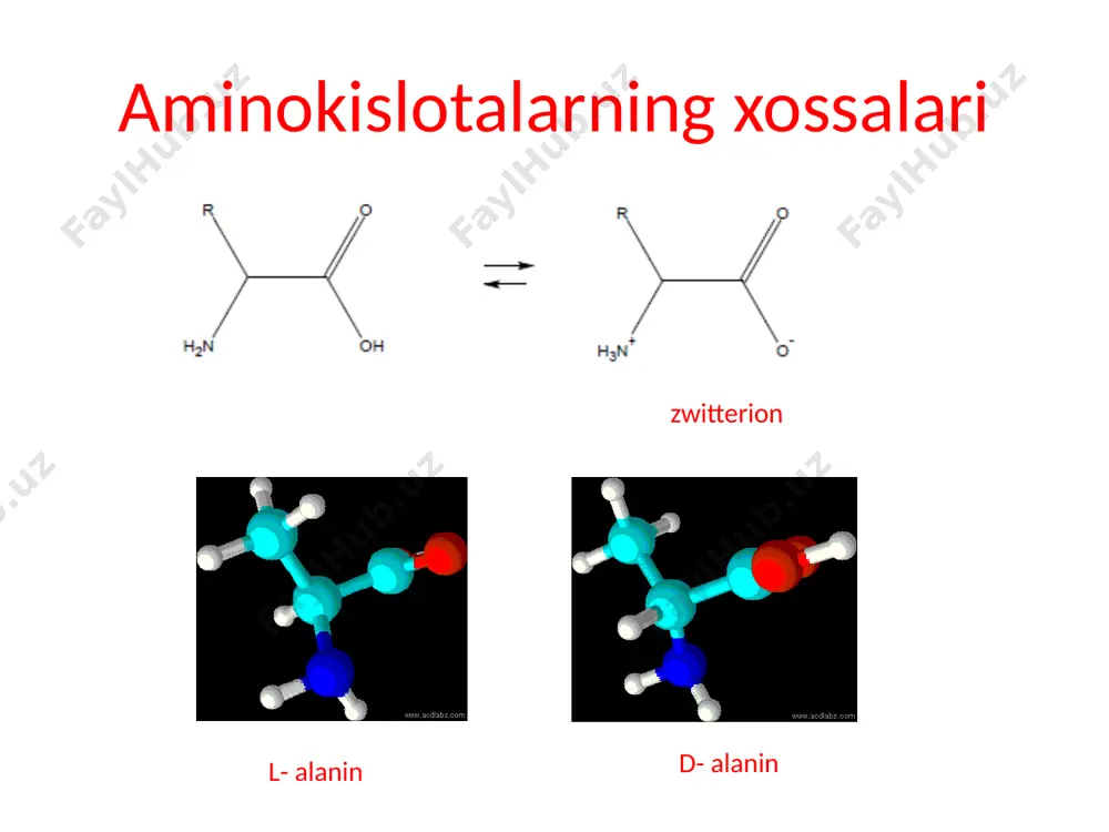 piya proteinlarning funktsiyalari katalitik funktsiya fermentlar - biokimyoviy reaksiyalarning katalizi 5000 dan ortiq turli xil reaktsiyalar juda yuqori o'ziga xoslik! tugmachani qulflash modeli induktsiyalangan yozishmalar modeli http://commons.wikimedia.org oqsillarning katalitik funktsiyasi ba'zi fermentlar kofaktorlarni talab qiladi. kofaktorlar ferment bilan erkin bog'langan qattiq bog'langan kofermentlar - protez guruhlari deyiladi bu noorganik molekulalar (metall ionlari) va organik birikmalar (flavin, gem, vitaminlar) bo'lishi mumkin. http://en.wikipedia.org alfa zanjiri beta zanjirlar ham gemoglobin oqsillarning strukturaviy funktsiyasi ular hujayraning barcha membrana va membrana bo'lmagan organellalarining bir qismidir kollagen - biriktiruvchi to'qima keratin - sochlar va tirnoqlar aktin va tubulin - sitoskelet himoya funktsiyasi antikorlar (immunoglobulinlar) b limfotsitlari tomonidan sintez qilingan, organizmga begona moddalarga yuqori yaqinlikka ega ( antigenlar) tartibga solish funktsiyasi proteinlar - gormonlar (insulin) o'sish omillari proteinlar - gen faolligini regulyatorlari (aktivatorlar va repressorlar) transport funktsiyasi gemoglobin, apolipoproteinlar membran ion kanallari zaxira va ozuqaviy funktsiyalar ovalbuminli tuxum sut kazein oqsillarning retseptorlari funktsiyasi transmembran retseptorlari energiya transformatsiyasi …