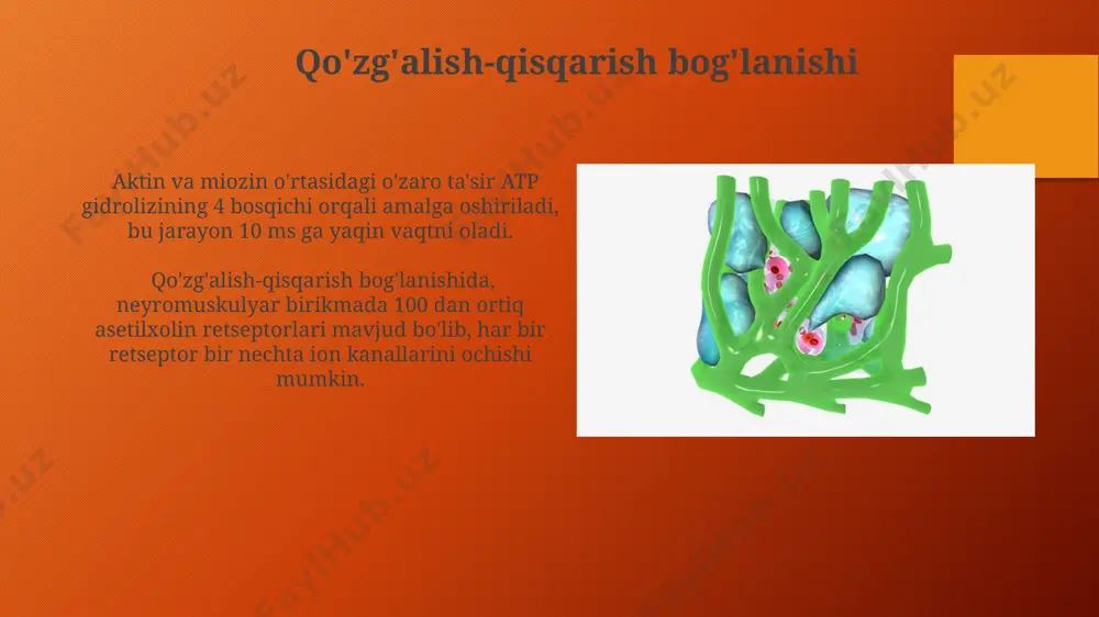 ozin boshchalarining aktin bilan bog'lanishiga imkon beradi. e'tiboringiz uchun rahmat @taqdimot_robot image3.png image4.jpg image5.jpg image6.jpg image7.jpg image8.jpg image9.jpg image10.jpg image11.jpg image12.jpg image13.jpg image14.jpg image15.jpg image16.jpg image17.jpg image18.jpg image1.png