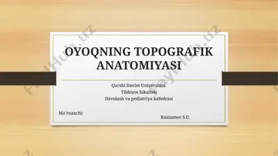 oyoqning topografik anatomiyasi — PPTX