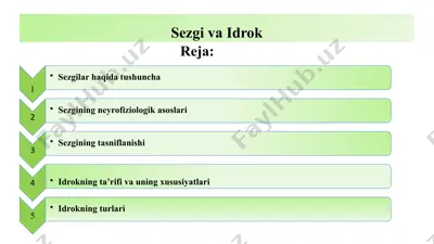 sezgiva idrok — PPTX