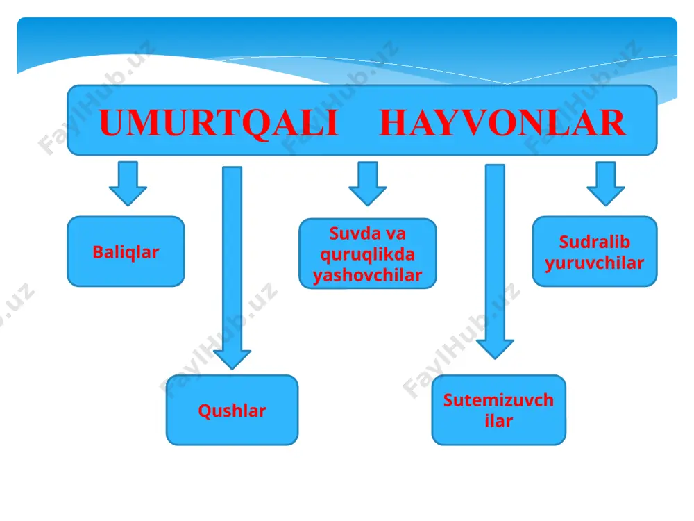 umurtqali hayvonlar - Page 5