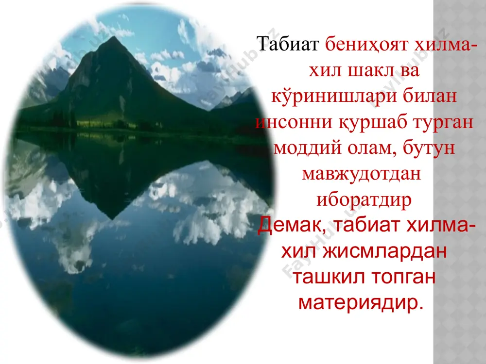 табиатшунослик ўқиш шакилларини ўргатиш методикаси - Page 3