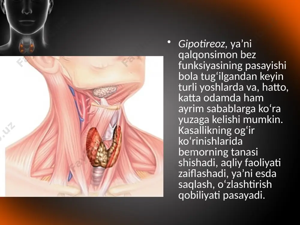 qalqonsimon, qalqon orqa va ayrisimon bezlar. 8 - sinf - Page 5