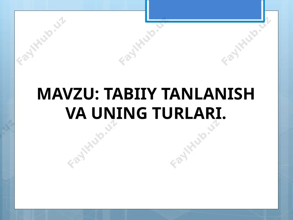 oslanishi nima ta'sirida paydo bo'lgan? sun'iy tanlash yalpi tanlash yakka tanlash tabiiy tanlash qiyosiy tahlil penitsillin antibiotigining ishlab chiqarilishi dastlabki yillarda o`pka shamollashini davolashda katta yordam bergan. hozirgi paytda esa o`pka shamollashini qo`zg`atuvchi bakteriyalarga penisillin antibiotigining kuchli dozasi ham ta`sir etmay qoldi. buning sababi nima deb o`ylaysiz simptom tabiiy tanlanish bu-? amaliy ko`nikma misol? test 45 ta xromosomali homila ona qornida 2-3 oydan keyin tabiiy abortga uchrashi tabiiy tanlanishning qaysi turiga misol bo'ladi? dizruptiv stabillashtiruvchi harakatlantiruvchi divergent qiyosiy tahlil yer yuzining quruqlik sathi 148 mln kv.km ga teng. agar bir juft pashsha 1 kv.sm o`rinni egallasa va bir yilda 10 marta urchib, har gal 100 tadan nasl qoldirsa va tabiat ularga yashash uchun abiotik, biotik omillar qarshilik ko`rsatmasa, ular cheksiz ko`paysalar, kuzga borib ularning nasli uchun sayyoradagi quruqlik yetarli bo`ladimi? haqiqatda shuncha pashshani ko`rish mumkinmi? uy pashshasi yashashi va urchishiga qanday to`siqlar bor? simptom stabillashtiruvchi tanlanish bu-? amaliy ko`nikma misol? …