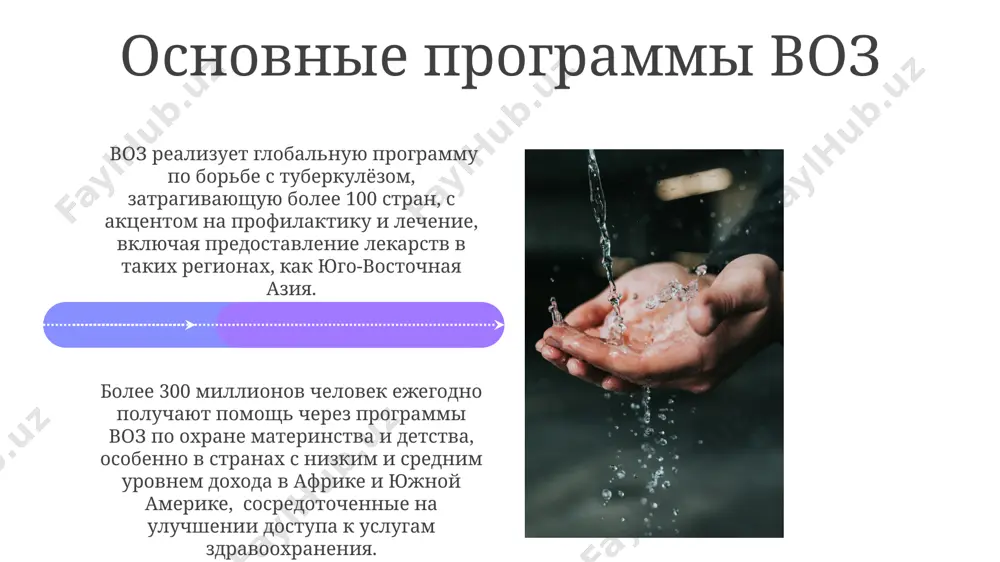 всемирная организация здравоохранения - Page 4