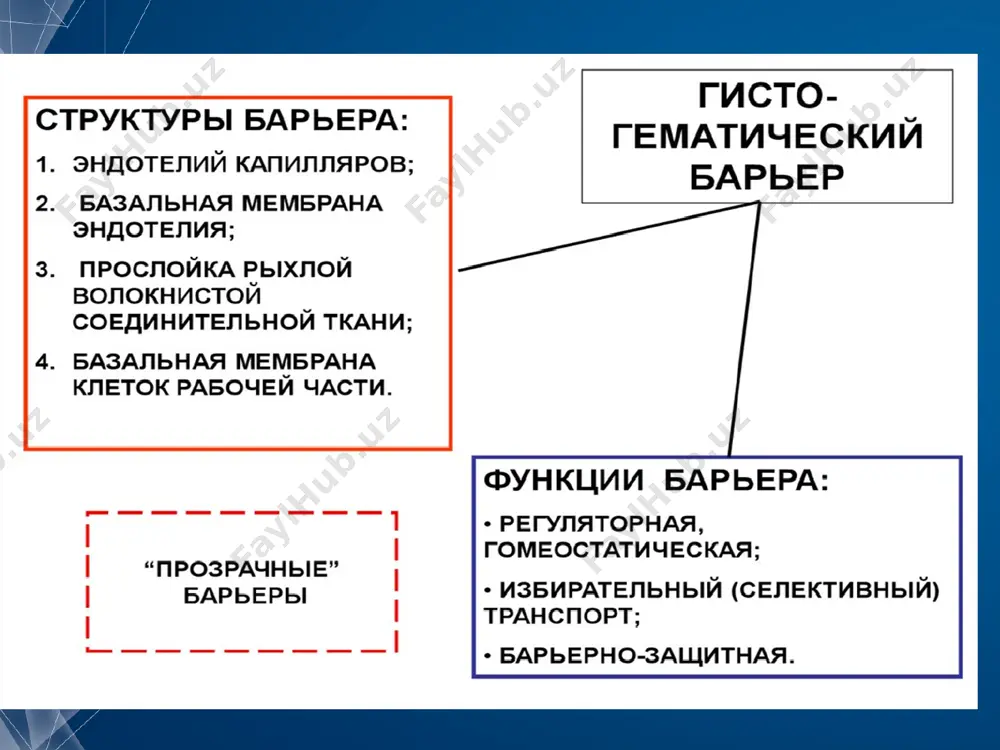 функтсияси (эски таснифга кўра). антиретсептор антикорларининг сирт ретсепторлари оқсили билан реактсияси. мисоллар: миястения гравис, гравес касаллиги комплементзависимые реакции синдром гудпасчера – системный капиллярит с преимущественным поражением альвеол лёгких и базальных мембран гломерулярного аппарата почек по типу геморрагических пневмонита и гломерулонефрита. в основе – развитие антительной реакции к антигену гудпасчера – α3-субъединице коллагена iv типа, входящего в состав базальных мембран. по-видимому, ввиду локализации вышеупомянутой субъединицы исключительно в базальных мембранах капилляров легких и почек, поражение затрагивает исключительно эти органы. синдром гудпасчера а, б. макропрепараты «острый гломерулонефрит («большие пестрые почки»)» (а), «хронический гломерулонефрит» (б). острый гломерулонефрит - почки увеличены в размерах, дряблой консистенции, с выраженным красным крапом на относительно гладкой поверхности, с широким (на разрезе) и полнокровным корковым веществом. при хроническом гломерулонефрите почки умеренно увеличены (могут быть уменьшены при длительном течении гломерулонефрита с развитием нефросклероза), поверхность мелкозернистая, с умеренно выраженным красным крапом. экстракапиллярный продуктивный гломерулонефрит окраска гематоксилином и эозином препарат кафедры патологической анатомии …