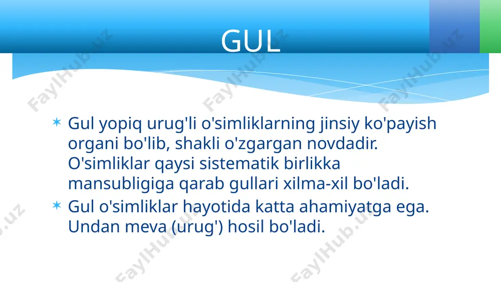 qchani birlashtirib turadi. uning ichi g'ovak bo'ladi. changdon chang tumshuqcha - urug'chi (ustun-cha)ning eng yuqori qismi - uchi. u changlarni ushlash uchun xizmat qi-ladi. gul qismlari gulqo'rg'on - gul ochilguncha changchi va urug'chilarni o'rab, tash-qi ta'sirdan saqlab turadi. u oddiy yoki murakkab bo'ladi. gul qismlari agar gulqo'rg'on gulkosacha va gultojdan tashkil topgan bo'lsa, mu- rakkab gulqo'rg'on deyiladi. ko'p- chilik o'simliklar (olma, olcha, nok, na'matak, g'o'za)ning guli murakkab gulqo'rg'onli bo'ladi gul turlari gulqo'rg'on bo'laklari qo'shilgan yoki qo'shilmagan gullar ham bor. gulqo'rg'on bo'laklari qo'shilgan gullarga qo'ypechak, karnaygul, marmarak kabilarning guli misol bo'ladi. gulqo'rg'on bo'laklari qo'shilmagan (erkin) gullar­ga olma, nok, g'o'za, o'sma, lola, boychechak va boshqa o'simliklarning gullari kiradi. gul turlari tabiatda yana shunday gulli o'simliklar borki, ular guli-ning gulqo'rg'oni yo'qolib ketgan yoki tangachaga aylan-gan. bularga tol, terak, tut, yong'oq kabilar kiradi. gullarning tuzilishi bilan tanishishni osonlashtirish maq-sadida gullarning diagrammasi va formulasidan foydalani-ladi. gul tuzilishining sxema bilan ifodalanishiga gul dia­grammasi deyiladi. gul turlari …