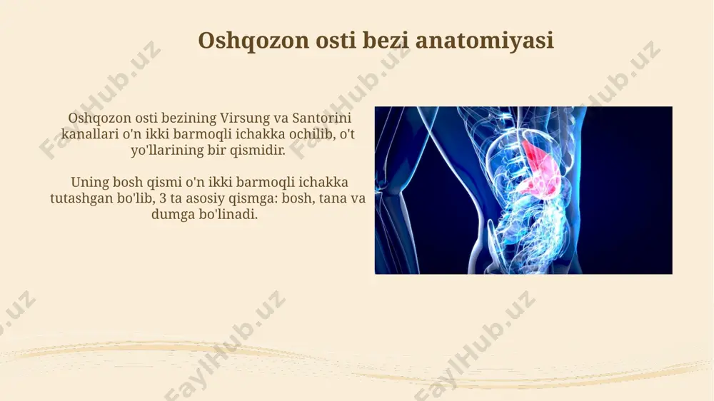 jigar va me'da osti bezi anatomiyasi - Page 5