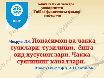 чакка суягининг каналлари — PPT