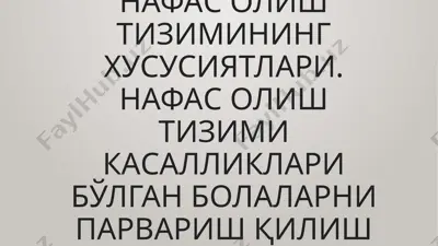 нафасолиштизимининг хусусиятлари — PPTX