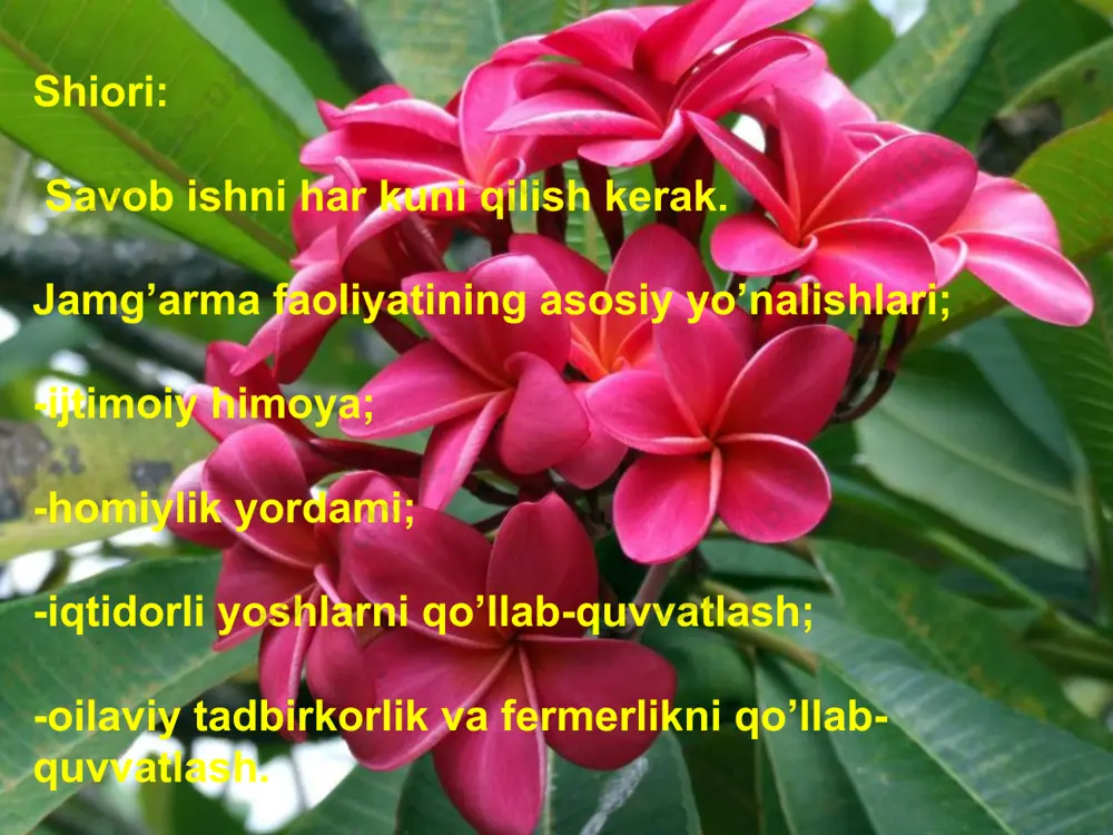 mehr nuri jamg'armasi - Page 4
