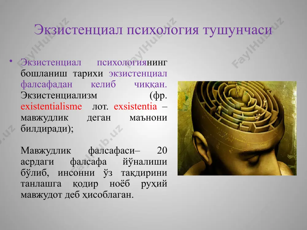 тушунишни ўз ичига олади. шундай қилиб бу терапияда, асосий эътибор шахсга эмас, балки ҳаётга қаратилган. мақсад-одамларга ҳаёт талабларига жавоб бериш қобилиятини ривожлантириш ва мустаҳкамлашга ёрдам бериш. натижада, баъзи мижозлар ўзлари бироз ўзгаришлари керак ёки керак эмас деган хулосага келишлари мумкин, чунки ҳаётнинг ўзи улар учун кўп нарсани англата бошлайди. баъзилар оқилона ўзгаришларни амалга оширадилар, чунки улар ўзлари хоҳлаган тарзда яшаш йшлини танлайдилар. экзистенциал терапиянинг мақсади инсонга ҳаёти давомида кўпроқ билим ва эркинлик беришдир. ҳаёт инсонга санъат сифатида тақдим этилади ва ҳар қандай санъатда бўлгани каби, муаллиф фақат амалиётда яхшиланиши мумкин. санъат сирларига кириб бориш хатолар билан кечади. кўпчилик ҳаёт санъатини ўз саъй-ҳаракатлари билан муваффаққиятли қилиши мумкин. экзистенциал терапия машғулотлари расм бўйича машғулотларга жуда ўхшайди. экзистенциал терапиянинг мақсади ўз ҳаётининг ўзига хослигини ва қадрини тан олиш ва у билан курашмаслик. ўзига хослик нимадан иборатлигини ўрганиш ва ижобий томон ва имкониятларни топишдир. экзистенциал терапия одамларни яхши яшашга илҳомлантиради. инсон қобилияти ва истеъдоди …
