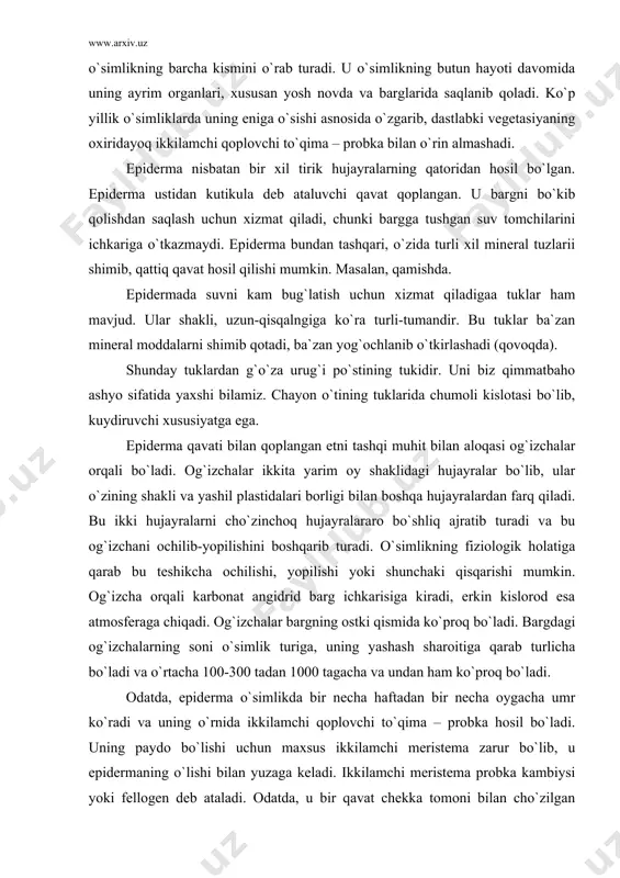 di. og`izchalar ikkita yarim oy shaklidagi hujayralar bo`lib, ular o`zining shakli va yashil plastidalari borligi bilan boshqa hujayralardan farq qiladi. bu ikki hujayralarni cho`zinchoq hujayralararo bo`shliq ajratib turadi va bu og`izchani ochilib-yopilishini boshqarib turadi. o`simlikning fiziologik holatiga qarab bu teshikcha ochilishi, yopilishi yoki shunchaki qisqarishi mumkin. og`izcha orqali karbonat angidrid barg ichkarisiga kiradi, erkin kislorod esa atmosferaga chiqadi. og`izchalar bargning ostki qismida ko`proq bo`ladi. bargdagi og`izchalarning soni o`simlik turiga, uning yashash sharoitiga qarab turlicha bo`ladi va o`rtacha 100-300 tadan 1000 tagacha va undan ham ko`proq bo`ladi. odatda, epiderma o`simlikda bir necha haftadan bir necha oygacha umr ko`radi va uning o`rnida ikkilamchi qoplovchi to`qima – probka hosil bo`ladi. uning paydo bo`lishi uchun maxsus ikkilamchi meristema zarur bo`lib, u epidermaning o`lishi bilan yuzaga keladi. ikkilamchi meristema probka kambiysi yoki fellogen deb ataladi. odatda, u bir qavat chekka tomoni bilan cho`zilgan bo`linuvchi hujayralar qavatidan iborat bo`ladi. bo`linish esa poya yuzasiga parallel tarzda amalga …