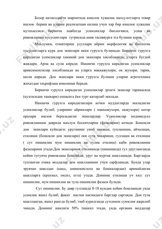 ишиклик. бу давр гуллашда 8-18 кундан кейин бошланади унда усимлик яшил булиб, факат пастки кисмидаги барглар саргаяди. дон тула шаклланган, яшил рангда булиб, эзиб курилганда сутсимон суюклик ажралиб чикади. доннинг намлиги 50% ташкил этади, унда органик моддалар тупланиши давом этади. бундай дон куритилганда унувчанлик хусусияти юкори булади, лекин у саклангандан кейин эса бу хусусияти тезда йуколади. доннинг сут пишиклик даври жанубий туманларда 10-12 кунга етади. бу фазада хосилни уругли дон максадида йигиш мутлако мумкин эмас. мум-пишиклик даврида бошокли дон экинлари ва сули бутунлай саргаяди, факат поясининг учки кисми яшиллигича колади. маккажухори, тарик, шоли усимликларининг туплари яшиллигича сакланади беради, уни тирнок билан уйиш мумкин. бу даврда доннинг намлиги 25% ни ташкил этади. донда тупланган озика моддалар доннинг тула пишиклиги даврига караганда кам фарк килади. мум пишиклик даврининг давомийлиги об-хаво шароитига караб кескин фарк килади. у жанубий туманларда 6-8 кунга етади, хаво булганда бундан хам чузилиши мумкин. бу давр усимлик олдин урилиб …