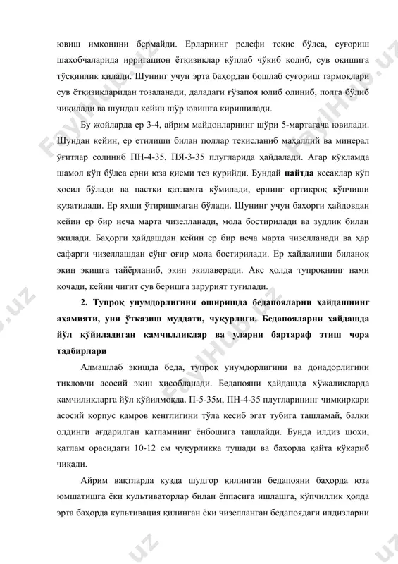 юмшатишга ёки культиваторлар билан ёппасига ишлашга, кўпчиллик ҳолда эрта баҳорда культивация қилинган ёки чизелланган бедапоядаги илдизларни тирмалаб йиғиб олишга тўғри келади. ғўзадан кейин беда экишдан мақсад ернинг унумдорлигини ошириш, физик хоссаларини яхшилаш ва беда илдиз массасини чиришини бошқариб, ундан камида 5-7 йил фойдаланиш кўзда тутилади. маълумки, уч йиллик беда гектарига 300-500 кг дан ортиқ биологик азот ва 16-22 тонна илдиз массасини тўплайди. ерни ҳайдаш технологияси тўғри ташкил этилмаса, беда тўплаган органик масса тезда минераллашади. беда илдизини баҳорда кўкариб чиқишини олдини олиш ва органик массани чиришини секинлаштириш учун бедапояни ҳайдаш технологиясини такомиллаштириш керак. бунинг учун, плугнинг ағдаргичлари олиниб лемехлари ўткирланади. бедапояни ҳайдашдан 5-7 кун олдин ер устки қисми 5-6 см чуқурликда ана шу ағдаргич олинган плуг билан ҳайдалади. шунда беданинг илдиз бўғзи 5-6 см чуқурликда кесилиб унувчанлиги йўқолади. ер кузда шудгорланганда органик қолдиқлар тупроқнинг чуқур қатламига кўмилади. тажриба натижалари бу усулда ҳайдалганда илдизни минераллашуви секинлашганлигини кўрсатган. бедапояни 20-25 октябрдан 10-15 ноябргача …