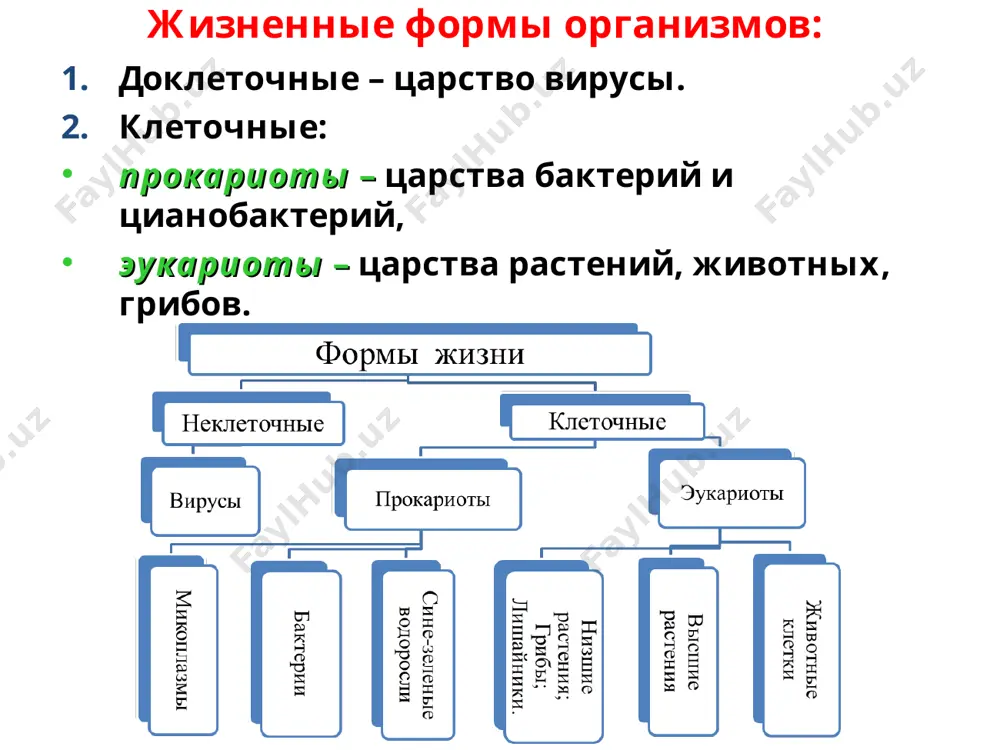 ктурная, ферментативная, рецепторная, транспортная. функция гликопротеидов — рецепторная. свойства мембран: пластичность, полупроницаемость, динамичность. функции мембран: структурная (входят в состав большинства органоидов); 2) барьерная (поддерживает постоянство химического состава) и защитная; 3) регуляторная (регуляция обменных процессов); 4) рецепторная; 5) транспортная. строение и функция эукариотических клеток строение животной клетки строение растительной клетки строение и функция эукариотических клеток эукариотические клетки имеют обособленное ядро, наружную биологическую мембрану — плазмолемму и цитоплазму с органеллами и включениями. плазмолемма отделяет содержимое клетки от внешней среды и регулирует движение ионов и макромолекул в клетку из нее. плазмолемма имеет жидкостно-мозаичное строение (модель сингера). она состоит из двойного фосфолипидного слоя, белков и полисахаридов. молекулы фосфолипидов представлены неполярными гидрофобными концами и полярными гидрофильными головками, обращенными к внешней среде. белки расположены мозаично: поверхностные, погруженные и пронизывающие. на поверхности мембраны находятся олигосахаридные цепи, состоящие из моносахаридных остатков. их функции: — распознавание внешних сигналов ; — контакт клеток и образование тканей; — иммунный ответ. плазмалемма …