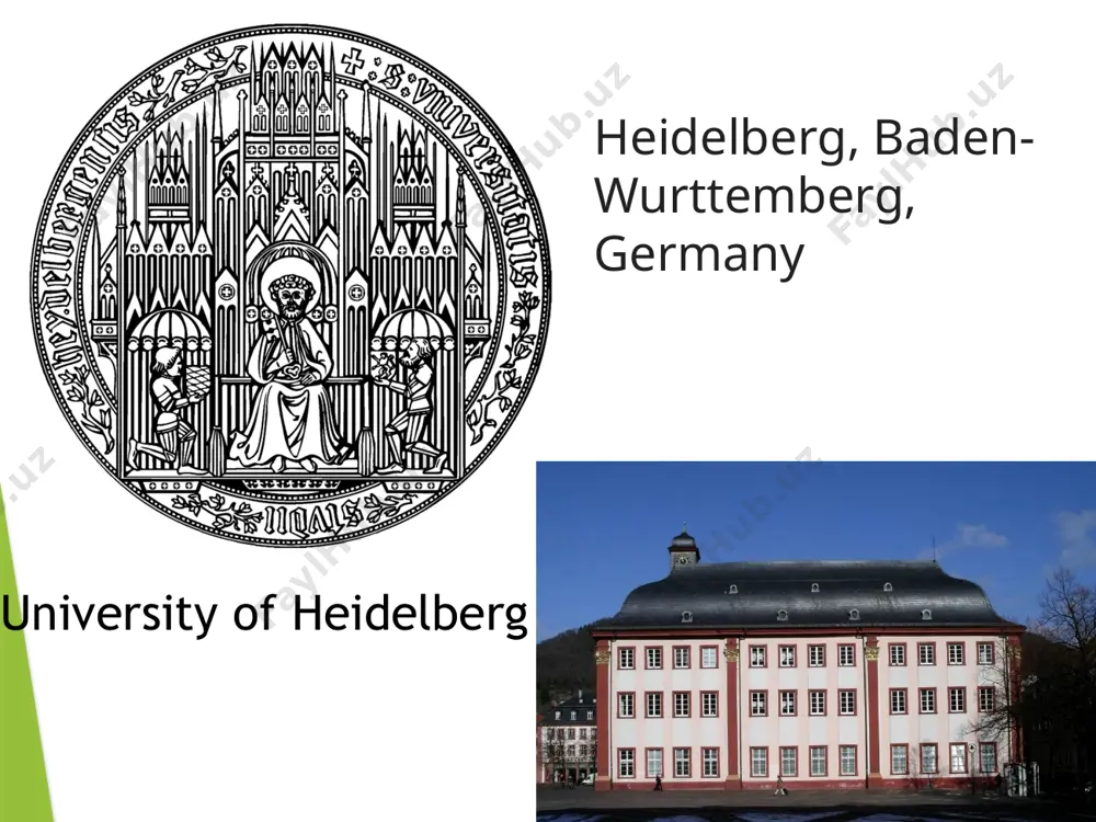 germany education system - Page 4