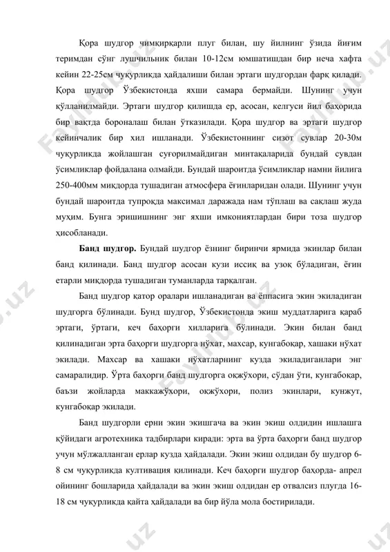 р қатор оралари тор қилиб (12-15 см) экиладиган экинлар билан банд қилинади. ўзбекистонда бу турдаги шудгорга пичан ва кўкат озиқа учун бир йиллик ўсимликлар (жавдар, сули, арпа ва улар билан аралаштириб хашаки нўхат, сўдан ўти) экилади. сидератлар экилган шудгор ҳам банд шудгорга киради. унга асосан дуккакли ўсимликлар экилади. улар тўплаган яшил массалар тупроқни азот ва органик моддалар билан бойитиш ҳисобига унумдорлигини ошириш учун тупроқ билан бирга ҳайдаб юборилади. ўзбекистон шароитида суғориладиган туманларда сидератлар кузда ғўза ва шоли экинлари орасига ёки улардан кейин экиладиган оралиқ экин сифатида қўлланилиши мумкин. оралиқ экинлар ерларнинг агромелиоратив ҳолатини яхшилаш ва унумдорлигини ошириш, барча микробиологик жараёнларни жадаллаштирувчи омиллардан ҳисобланади. оралиқ экинлар тупроққа қўшиб ҳайдаб юборилганда ерда гумус миқдорини оширади, тупроқларни озиқа ва сув режимлари яхшиланади. сидератлар шўр ювиш самарадорлигини оширади ва тупроқни шўрланишини олдини олади. 2.лалмикорликда тоза шудгор-алмашлаб экишнинг асосий элементи. анғизни ҳайдаб йил давомида экин эқилмай махсус ажратилган дала тоза шудгор дейилади. шудгорга йил давомида …