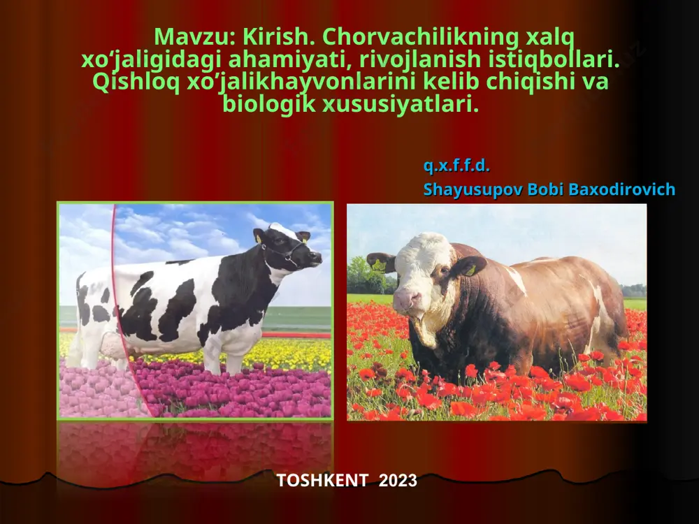 hti 75193 79372 105,6 11,6 6 o‘rdak go‘shti 3584 3780 105,5 0,6 7 g‘oz go‘shti 2236 2377 106,3 0,3 8 kurka go‘shti 5868 6107 104,1 0,9 9 ot go‘shti 745 751 100,1 0,1 10 quyon go‘shti 1775 1842 103,8 0,3 11 buyvol go‘shti 3323 3469 104,4 0,5 12 tuya go‘shti 343 328 85,6 0,05 13 xachir go‘shti 61 63 103,3 0,01 14 yovvoyi hayvonlar go‘shti 2853 3115 109,2 0,5 jami, go‘sht 264763 275572 105,5 40,8 15 sigir suti 565062 578445 102,4 84,5 16 echki suti 14817 15216 102,7 2,2 17 qo‘y suti 9044 9125 100,9 1,3 18 buyvol suti 86574 89227 103,0 13 19 tuya suti 1611 1635 101,5 0,2 sut, jami 675497 692063 102,4 101,1 20 tovuq tuxumi 58738 60609 103,2 8,9 21 boshqa parrandalar tuxumi 4448 4907 110,3 0,7 tuxum, jami 63186 65516 103,7 9,6 bozor iqtisodiyoti sharoitida chorvachilik: a) chorva mahsulotlariga davlat buyurtmalarining bekor qilinishi b) chorva …