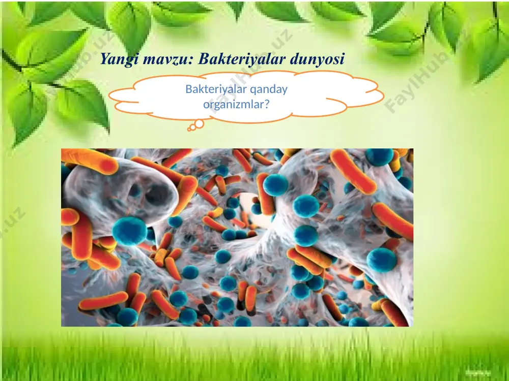 bakteriyalar dunyosi taqdimoti - Page 4