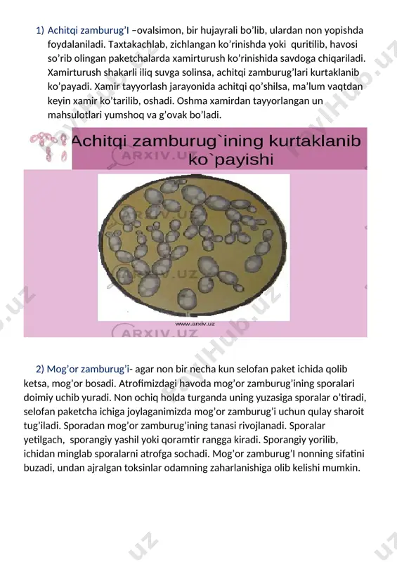 mening ilk kitobim - Page 4