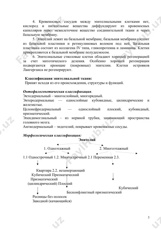 онтактирует с воздухом, поэтому ее необходимо защищать от пересыхания, которое обеспечивает ороговевший многослойный эпителий, покрывающий роговой слой. кроме того, кератин защищает от обезвоживания. защита от высыхания важна и для внутренних органов, но здесь она происходит за счет секреции. эпителий является барьером для токсических веществ и микроорганизмов. 2. клетки эпителиальной ткани образуют пласты (адгезивный эпителий), тяжи (в печени), островки (в поджелудочной железе), канальцы (в железах, почечных канальцах), фолликулы (в щитовидной железе), сети (в тимус), среди которых межклеточное вещество почти отсутствует. 3. клетки соединяются друг с другом с помощью десмосом, щелей и плотных контактов. 4. кровеносных сосудов между эпителиальными клетками нет, кислород и питательные вещества диффундируют из кровеносных капилляров через межклеточное вещество соединительной ткани и через базальную мембрану. 5. эпителий лежит на базальной мембране, базальная мембрана состоит из базальной пластинки и ретикулиновых волокон под ней. базальная пластинка состоит из коллагена iv типа, гликопротеина и ламинина. клетки прикрепляются к базальной мембране полудесмосом. 6. …