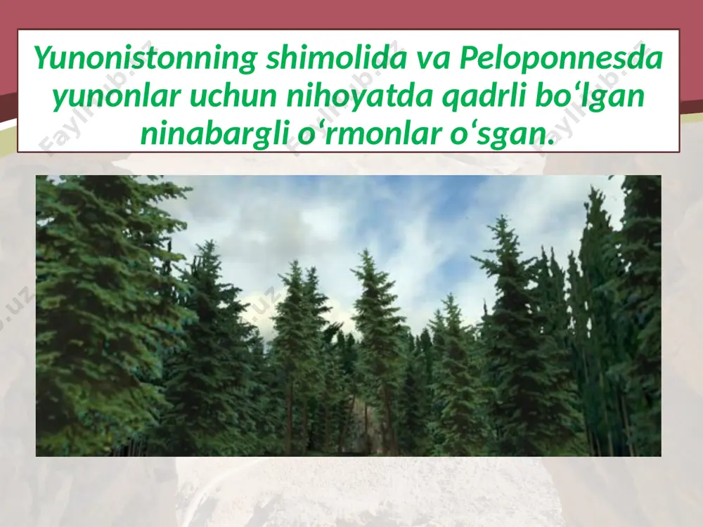 antik tarixning boshlanishi. 6- sinf - Page 4