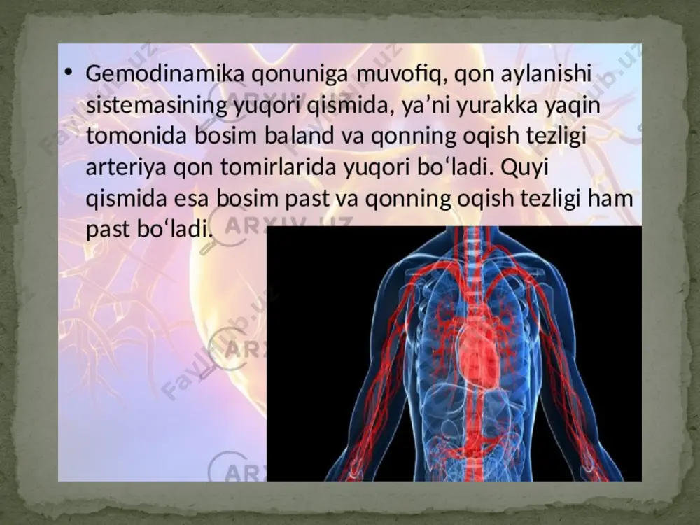 gemodinamika fiziologiyasi - Page 4