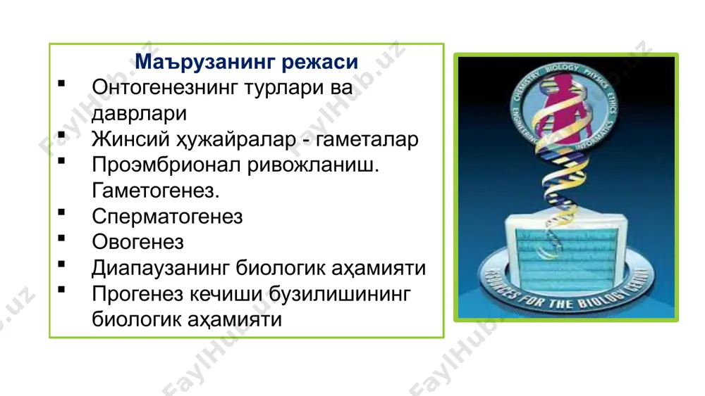 али ривожланиш типи тухум ҳужайрасида озиқ моддаси (сариқлик) кам бўлган организмларда кузатилади ва бир ёки бир неча личинкали босқичдан иборат бўлади. метаморфоз орқали ўзгариш метаморфозсиз ўзгариш личинка ўз шаклига, ички тузилишига ва яшаш тарзига кўра етук организмдан кескин фарқ қилади, шу сабабли етук организм қиёфасига ўтиш ўзгаришлар (метаморфоз) орқали содир бўлади. метаморфоз кўпгина умуртқасизларда кузатилиб, умуртқалиларда кам кузатилади. онтогенез типлари: 3та типи фарқланади – личинкали, личинкасиз (тухуми сариқликка бой), она қорнида ривожланиш личинкасиз ривожланиш типи тухум ҳужайраси озиқ моддаларга бой ва онтогенезни тугатиш учун етарли бўлган организмларда учрайди (умуртқасизлар, балиқлар рептилиялар, қушлар). личинкасиз ривожланишда бир қатор провизор (вақтинчалик) органлар ҳосил бўлади. личинкасиз ривожланишда ёш организм етук шакллар билан бир хил тузилишга эга бўлсада, ўлчами , функцияси ва структуравий етилмаганлиги билан фарқланади, аста-секин ўсиб бориши билан она организмининг тўла қиёфасига эга бўлади. она қорнида ривожланиш юксак сутэмизувчилар ва одамлар учун хос. уларнинг тухум ҳужайрасида озиқ моддалар кам шу сабабли барча ҳаётий …