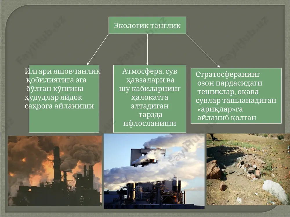 умий қонунлари билан мувофиқлаштириладиган материя мавжудлиги барча шакллари бирлашувининг олий босқичи сифатида тушунилади. иш кўраётган ҳар бир субъект (у хоҳ айрим инсон, хоҳ жамият ёки бутун инсоният бўлсин) ўзининг табиатга бевосита ёки билвосита дахлдор бўлган барча ниятлари, ишлари ва хатти-ҳаракатларида ўзини шундай тутиши лозимки, бу хулқ-атвор меъёри умумий экологик қонунга айлана олсин.
