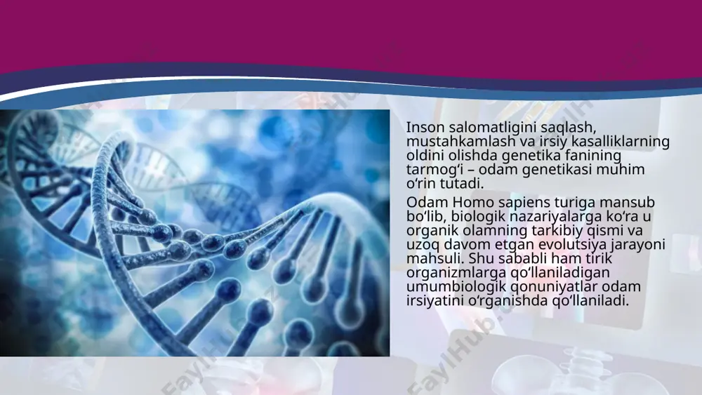 dar ko‘proq avlodlarining nasl-nasabi haqida ma’lumot to‘plash, tahlil qilishda foydalaniladi. ko‘pgina kasalliklar retsessiv holda nasldan naslga o‘tishi genealogik usul yordamida aniqlangan. qandli diabet, tug‘ma karlik, gemofi liya, shizofreniyaning ba’zi formalari shular jumlasidandir. genealogiya usuli – eng universal, oddiy, qulay usul bo‘lib, belgining bir nechta avlodda irsiylanishini aniqlashga asoslangan. autosoma dominant tipida irsiylanish (a–d) – autosomalarda joylashgan dominant genlarga bog‘liq. masalan: soch ning jingalakligi, ko‘z qoraligi, miopiya, braxidaktiliya, polidaktiliya, rezus autosoma – retsessiv tipda irsiylanish (a–r) – autosomada joylashgan retsessiv genlarga bog‘liq. albinizm, chapaqaylik, ko‘k ko‘z, silliq soch, fenilketonuriya, rezus manfi y (rh-), i0 qon guruhi va boshqalar sitoplazmatik irsiylanish – mito xondriya, xloroplastlar va plazmida genlariga bog‘liq. misollar: odamlarda ko‘rish nervi atrofi yasi, mitoxondrial sitopatiya va boshqalar. faqat onadan farzandlarga o‘tadi (o‘g‘illarida ham, qizlarida ham bir xilda kuzatiladi) sitogenetik metod so‘nggi yillarda katta ahamiyat kasb etdi. u odamda uchraydigan irsiy kasalliklarning sabablarini tushunib olish uchun ko‘pgina materiallar beradi. bu usul …
