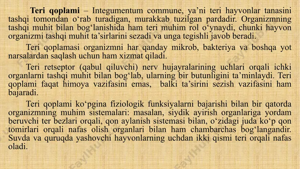 almashinib turishi sababli teri kirlanishdan va har xil parazitlardan tozalanadi. hayvonlarning ba’zi joylarida saqlanib qolgan bu o‘lik epidermis terida qotib qolib, katta – katta parcha bo‘lib tushadi. natijada organizmda moddalar almashinuvi buziladi va har xil teri kasalliklari paydo bo‘ladi. shuning uchun hayvonlarni doim toza saqlash kerak. asosiy, ya’ni chin teri - derma, (s. cutis, cornea.) bunday atalishiga sabab shuki, unda har xil nerv va qon tomirlari, limfa tomirlari juda ko‘p bo‘ladi. asosiy qatlamning tayanchi biriktiruvchi to‘qimadir. biriktiruvchi to‘qimaning tolalari har tomonlama joylashib, bir – biriga zich o‘ralgan bo‘ladi. asosiy terida bir qancha ter bezlari, jun xaltachasi, jun ildizi, yog‘bezlari bo‘ladi. bu qatlamning qalinligi hayvonlarning sog‘lig‘iga, parvarish qilinishiga, yashash sharoitiga va jinsiga bog‘liq. urg‘ochi hayvonlarning terisi erkaklarnikiga qaraganda ancha yupqa bo‘ladi. teri osti qatlami – subcutis asosiy terining ostida joylashgan bo‘lib, siyrak biriktiruvchi to‘qimadan tuzilgan. terining harakati, cho‘ziluvchanligi shu qatlamning tuzilishiga bog‘liq. bo‘yin terisi serharakat, suyakka yaqin joydagi teri kam harakat, …