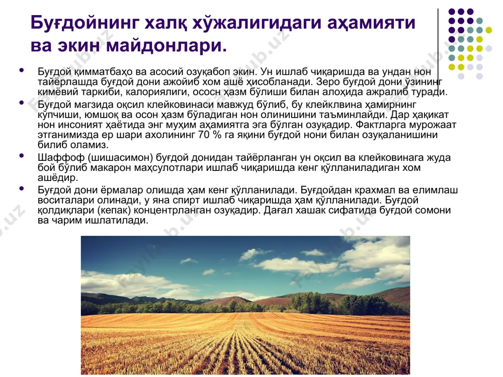 ойни яхшилаш учун кулла­нилиш мумкин бўлган буғдой навлари киради. буғдой донини стандартлаштириш. мамлакатимиздаги ғалла қабул қилиш корхоналарида қабул қилинаётган буғдой дони партиялари барча экинлар дони учун умумий ва мажбурий бўлган кўрсаткичлар, шунингдек ҳажмий оғирликни ҳисобга олган ҳолда баҳоланади. "кучли" ва қаттиқ буғдой дони пар­тиялари учун клейковина миқдори ва сифати, шунингдек доннинг тошбақа-канадан зарарланганлиги ҳам аниқланади. барча буғдой пар­тияларининг намунавий таркиби аниқланганда доннинг шишасимонли­ги ҳисобга олинади. ҳозирги пайтда буғдой дони учун тўрт хил стандарт мавжуд. қуйида биз уларнинг ҳар бирига алоҳида тўхталиб ўтамиз. давлат дон тайёрлаш тизими тайёрлаган буғдой донига стандарт гост вкс-7064-"озуқабоп тайёрланган буғдой", давлат дон та­йёрлаш тизими томонидан озиқ-овқат эҳтиёжларини қондириш мақсадида ишлаб чикарилган буғдой донига стандарт, буғдойи" тўлиқ стандартлар гурухига мансуб бўлиб, барча булимларда иштирок қилади. стандартларнинг биринчи бўлимида курсатишига, озиқ-овқат буғдойи деганда турли буғдой донларининг аралашмалар билан бир­галикдаги дон умумий миқдорининг 85 % и дан кам бўлмаган миқдори тушунилади. жавдар. жавдарнинг халқ хўжалигидаги аҳамияти. жавдар-муҳим озуқабоп экин …
