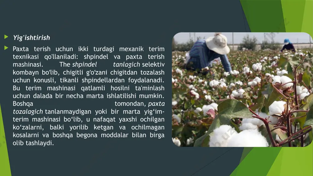 rli sifatli lint ishlab chiqarish va (2) paxta o‘zining yakuniy foydalanuvchilari talablariga javob berishi uchun tola yigiruv sifatini minimal pasaytirish bilan paxta tozalash. spinner va iste'molchi. shunga ko‘ra, paxta tozalash jarayonida sifatni saqlash paxta tozalash tizimida har bir mashinani to‘g‘ri tanlash va ishlatishni talab qiladi. mexanik ishlov berish va quritish paxtaning tabiiy sifat xususiyatlarini o'zgartirishi mumkin. eng yaxshi holatda, paxta tozalash zavodiga kirgandagina paxtaga xos sifat xususiyatlarini saqlab qolishi mumkin. quyidagi paragraflarda paxta tozalash zavodidagi asosiy mexanik uskunalar va jarayonlarning funksiyasi qisqacha muhokama qilinadi. paxta chigiti uchun mashinalar paxta tirkama yoki moduldan paxta tozalash zavodidagi yashil chig'anoqli tuzoqqa tashiladi, u erda yashil ko'zalar, toshlar va boshqa og'ir begona moddalar chiqariladi. avtomatik ozuqa nazorati paxta tozalash va quritish tizimining yanada samarali ishlashi uchun bir tekis, yaxshi tarqalgan paxta oqimini ta'minlaydi. yaxshi tarqalmagan paxta quritish tizimidan bo'laklarga bo'linib o'tishi mumkin va bu paxtaning faqat yuzasi quritiladi. quritishning birinchi bosqichida isitiladigan havo paxtani …